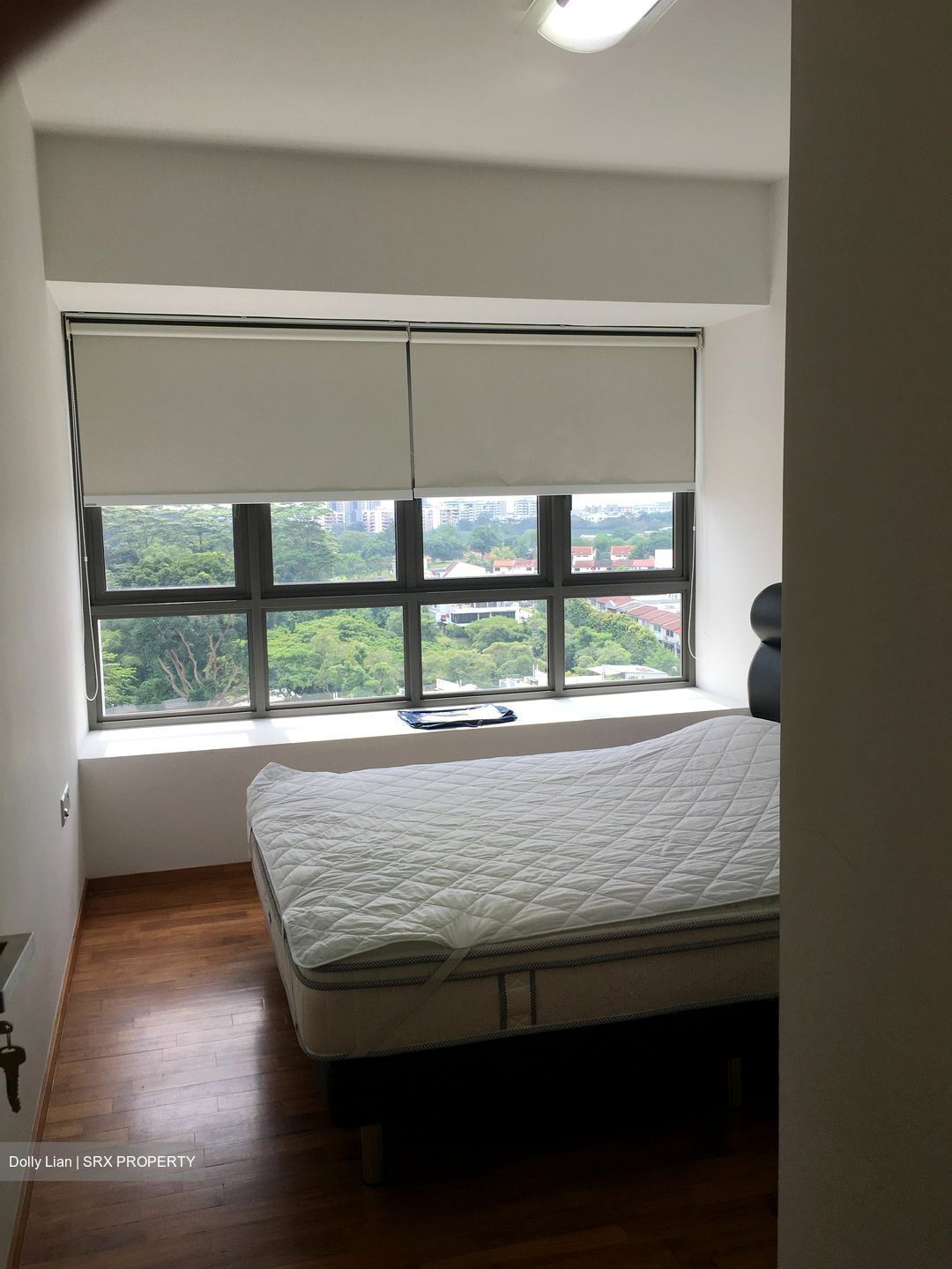 Meadows @ Peirce (D26), Condominium #587670801